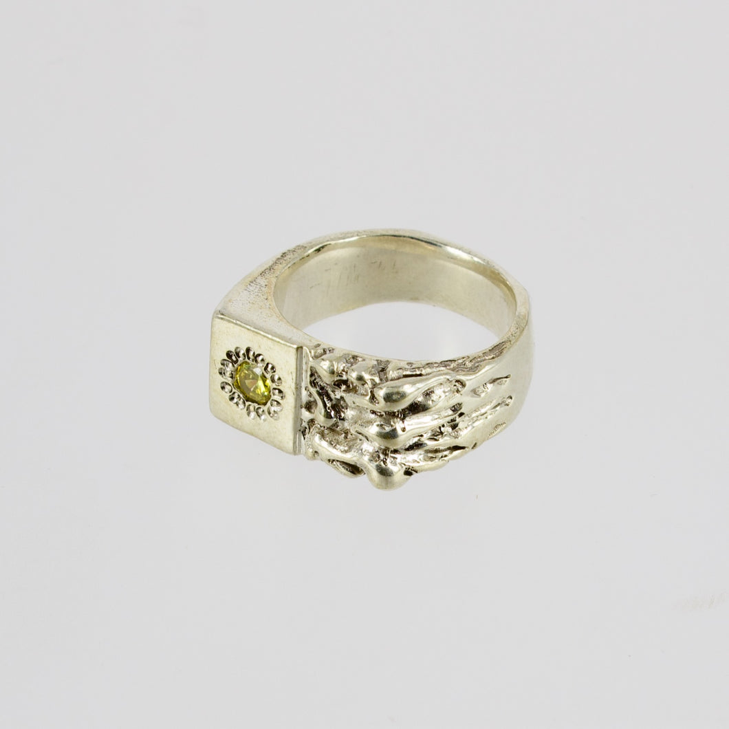 MM07: Lichen signet ring