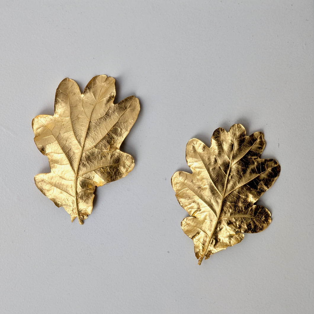 RMH Oak leaves - medium