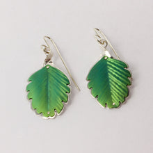 RB188: Beech Leaf earrings - green