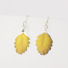 RB189: Beech Leaf earrings - gold