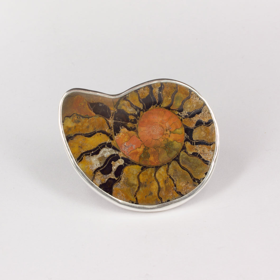 RW318L Moroccan ammonite fossil Brooch/pendant